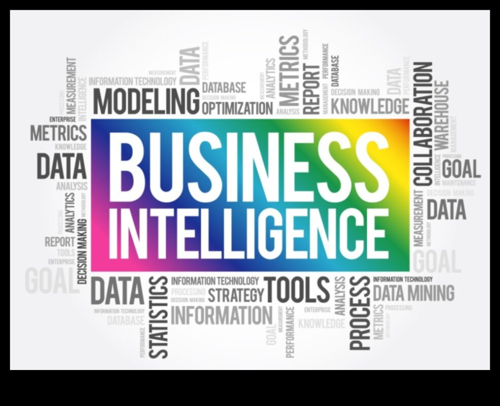 الارتقاء والإضاءة: فن ذكاء الأعمال الديناميكي