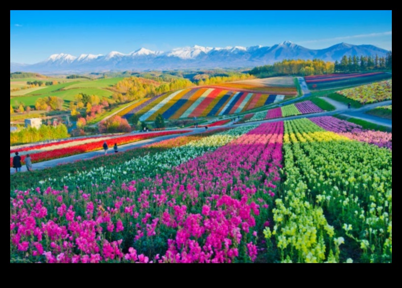 مناظر طبيعية حية: جولة في أكثر الأماكن الملونة في العالم 3 وجهات نظر حية: استكشاف المناظر الطبيعية الملونة والديناميكية للأرض