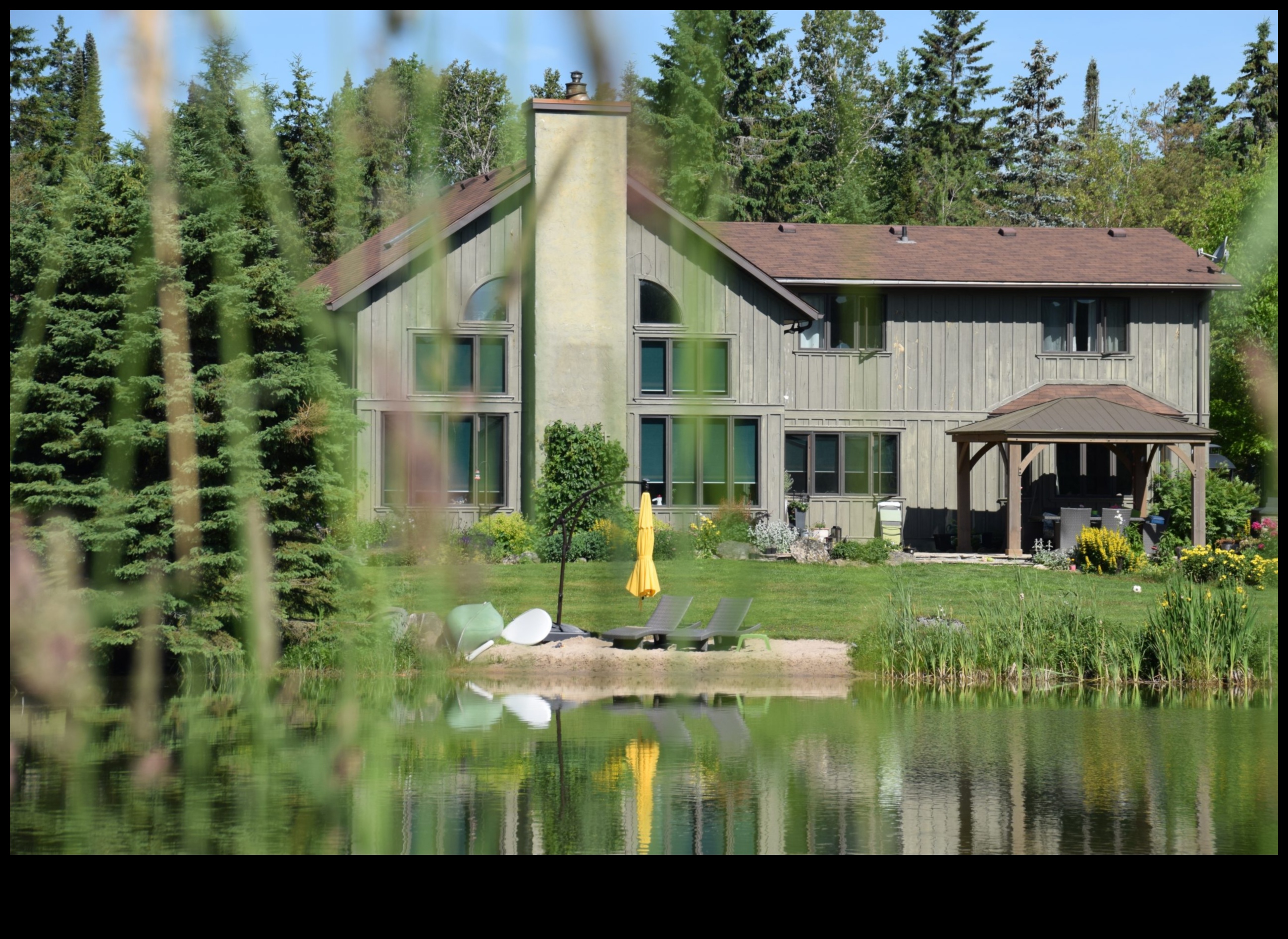 الخلوات على ضفاف النهر: مشاهد شاعرية على طول ضفاف النهر