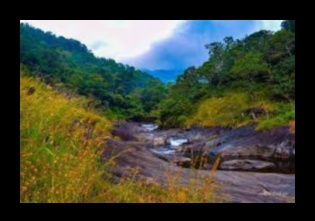 الخلوات على ضفاف النهر: مشاهد شاعرية على طول ضفاف النهر