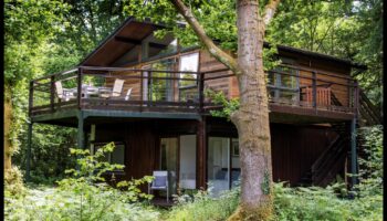 الخلوات على ضفاف النهر: مشاهد شاعرية على طول ضفاف النهر