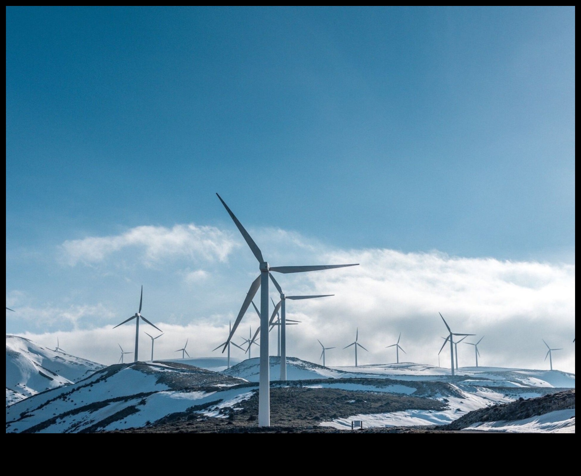 تشكيل المستقبل الأخضر: الابتكارات في مجال التكنولوجيا المستدامة الإبداعية