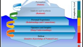 تناغم البيانات: الموازنة بين الرؤية الفنية والدقة الفنية في التحول