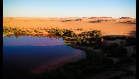 عجائب الصحراء: صفاء المناظر الطبيعية القاحلة